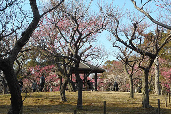 青葉の森公園